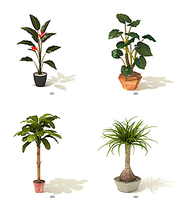 绿色植物