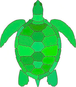 海龜?shù)募糨嬎囆g(shù)8