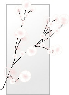 春暖花開的剪輯藝術(shù)