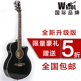 WRIOL吉他直通車09