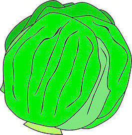 整個生菜剪貼畫
