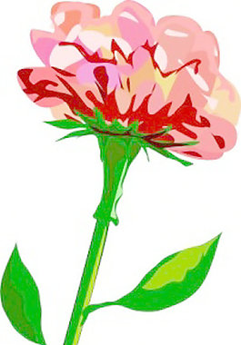 紅色的花剪輯藝術(shù)3