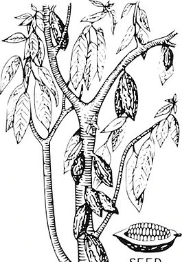 可可剪貼畫(huà)