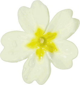 花剪輯藝術(shù)6
