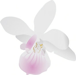 Orchidea剪貼畫