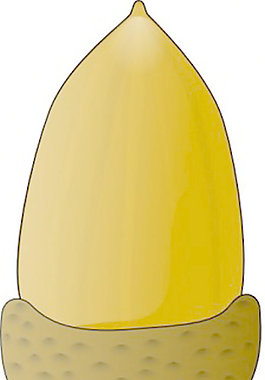 橡子剪貼畫