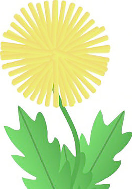 蒲公英的剪輯藝術(shù)2