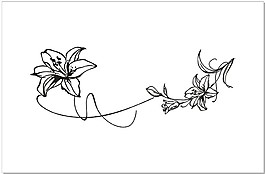 室內(nèi)裝飾設(shè)計(jì) 牡丹花
