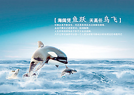 校園文化