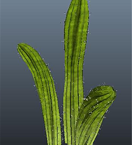 带刺绿色植物游戏模型