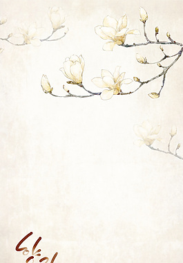 唯美玉蘭背景