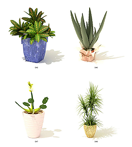 綠色植物