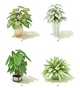 清新綠色植物