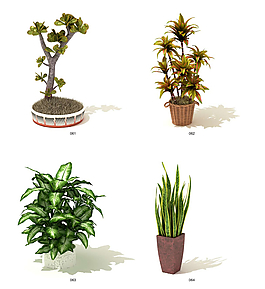 植物盆載