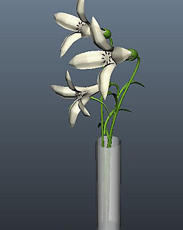 百合花模型