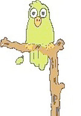 鸚鵡棲息