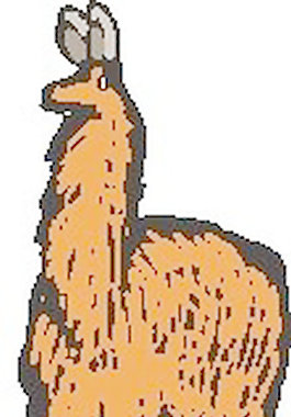 駱駝3