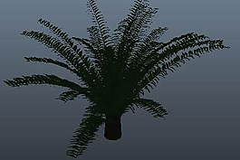 3D效果圖植物素材