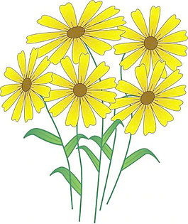 花剪輯藝術