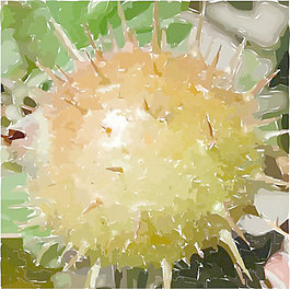 醋栗剪貼畫(huà)