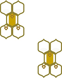 古典花紋移門