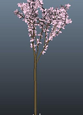 樱花模型