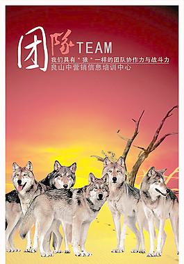 企業(yè)文化團隊協(xié)作