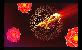 金龍花紋牡丹花視頻