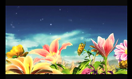 百合花婚禮背景視頻