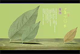 水岸生活