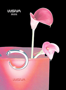 維絲納女包廣告