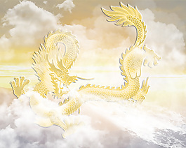 中国金龙