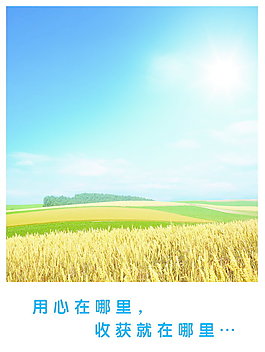 金色收获