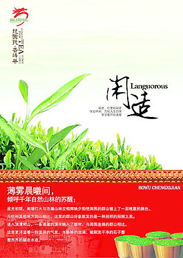 龙园号普洱茶