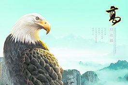 高瞻遠(yuǎn)矚