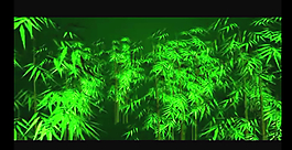 綠色竹林視頻素材