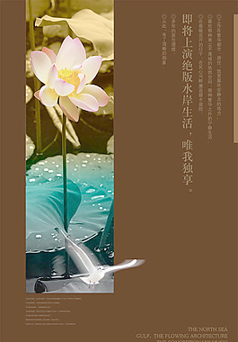 清幽荷花地產海報