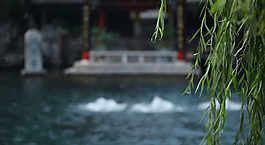 趵突泉