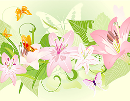 綠葉上的百合花