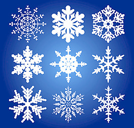 精美雪花矢量圖