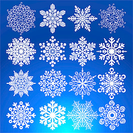 精美雪花矢量圖