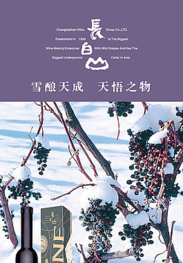 葡萄酒展架