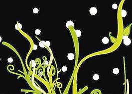 動(dòng)感花紋視頻素材圖片