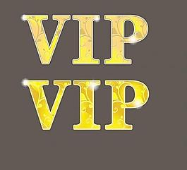 vip矢量圖圖片