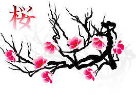 櫻花