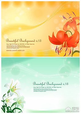 百合花花卉背景矢量圖