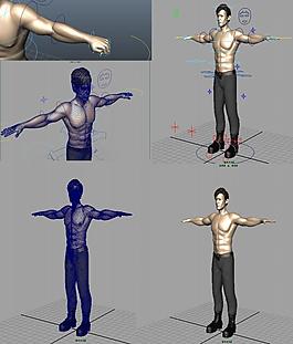 男人模型