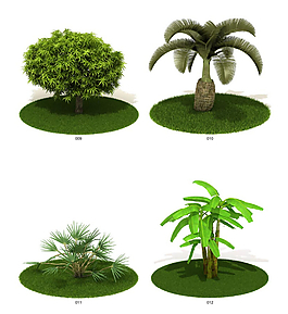 绿色植物