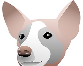 狗的肖像