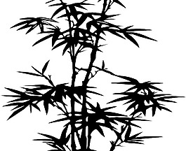 竹藝術(shù)剪輯